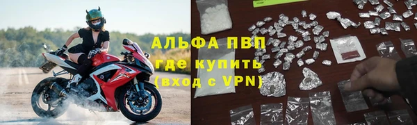 прущие грибы Кодинск
