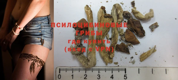 прущие грибы Кодинск
