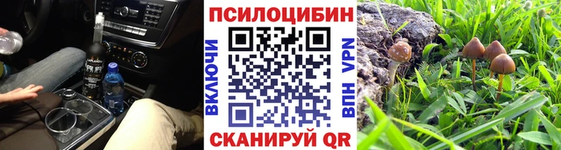 Галлюциногенные грибы мицелий  Купить где  Саранск 